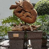 Fotografía de las instalaciones, se visualiza Escultura de corazón en Ozonklinikat